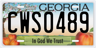 GA license plate CWS0489