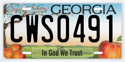 GA license plate CWS0491