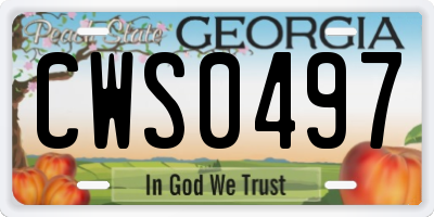 GA license plate CWS0497