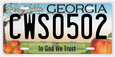GA license plate CWS0502