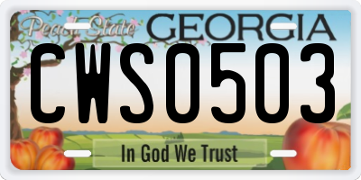 GA license plate CWS0503