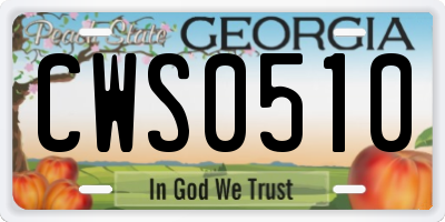 GA license plate CWS0510