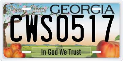 GA license plate CWS0517