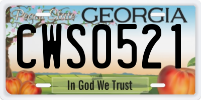 GA license plate CWS0521