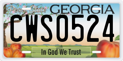 GA license plate CWS0524