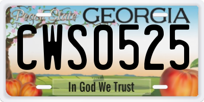 GA license plate CWS0525