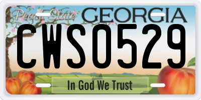 GA license plate CWS0529