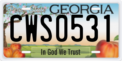 GA license plate CWS0531