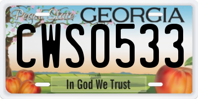 GA license plate CWS0533