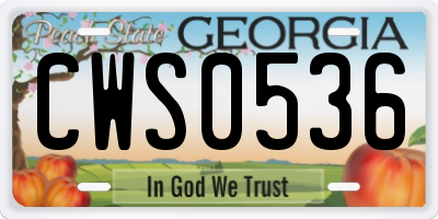 GA license plate CWS0536