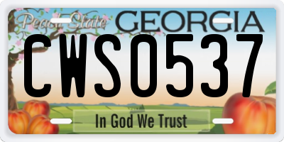 GA license plate CWS0537