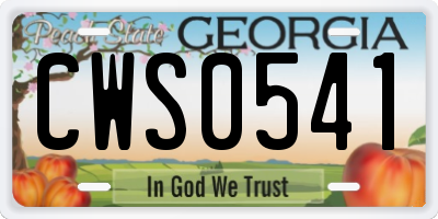 GA license plate CWS0541
