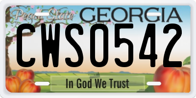 GA license plate CWS0542
