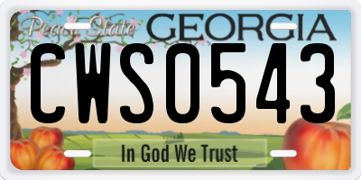 GA license plate CWS0543