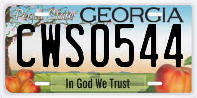 GA license plate CWS0544