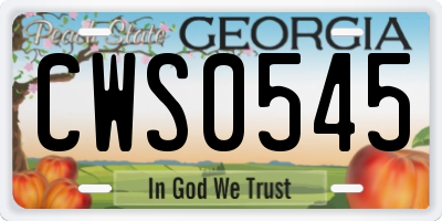 GA license plate CWS0545