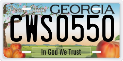 GA license plate CWS0550