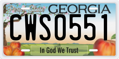 GA license plate CWS0551