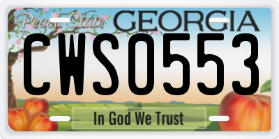 GA license plate CWS0553