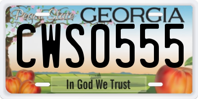 GA license plate CWS0555