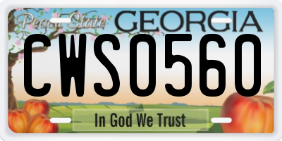 GA license plate CWS0560