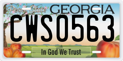 GA license plate CWS0563