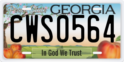 GA license plate CWS0564