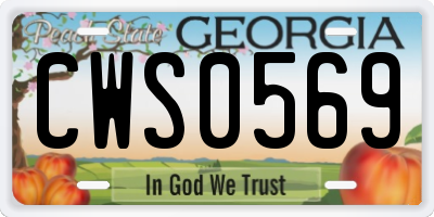 GA license plate CWS0569