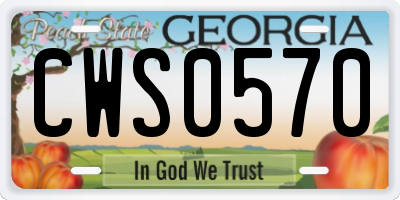 GA license plate CWS0570