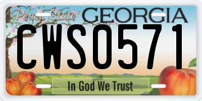 GA license plate CWS0571