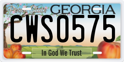 GA license plate CWS0575