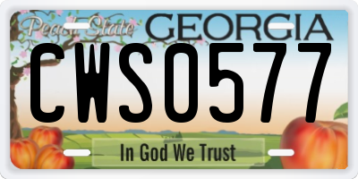 GA license plate CWS0577