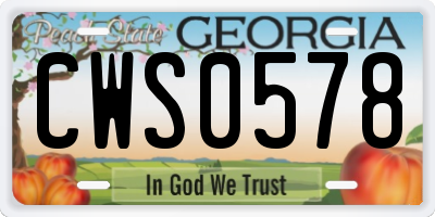 GA license plate CWS0578