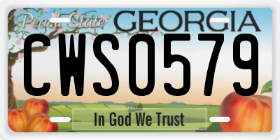 GA license plate CWS0579