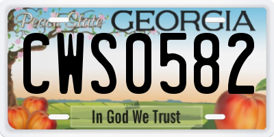 GA license plate CWS0582