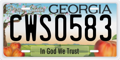 GA license plate CWS0583