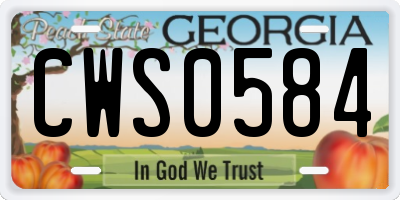 GA license plate CWS0584