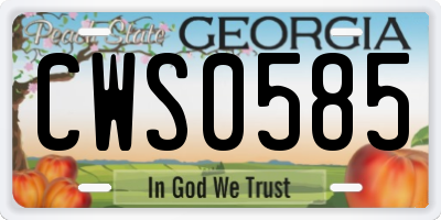 GA license plate CWS0585