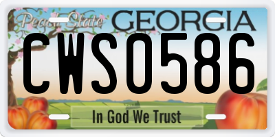 GA license plate CWS0586