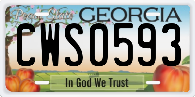 GA license plate CWS0593