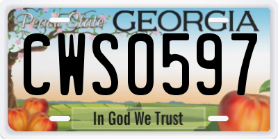 GA license plate CWS0597