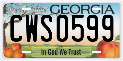 GA license plate CWS0599