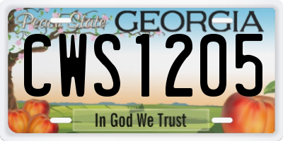 GA license plate CWS1205