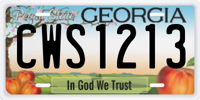 GA license plate CWS1213