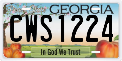 GA license plate CWS1224