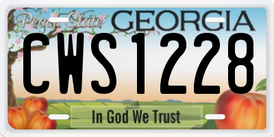 GA license plate CWS1228