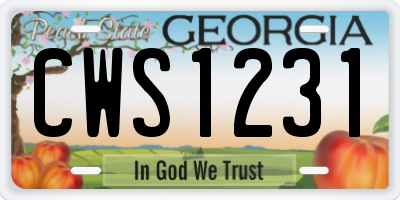 GA license plate CWS1231