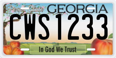 GA license plate CWS1233