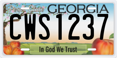 GA license plate CWS1237