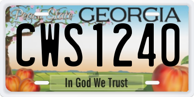 GA license plate CWS1240